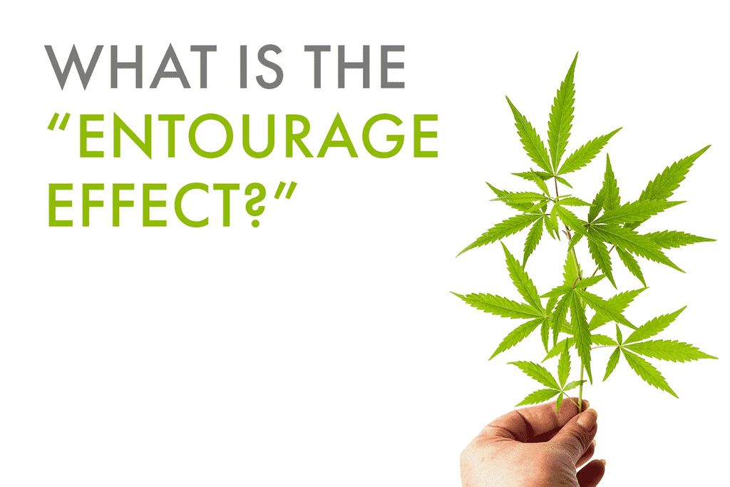 Entourage effect of full spectrum CBD